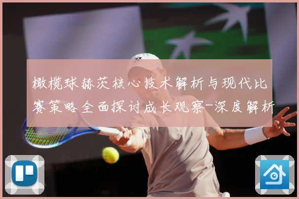 橄榄球赫茨核心技术解析与现代比赛策略全面探讨成长观察-深度解析