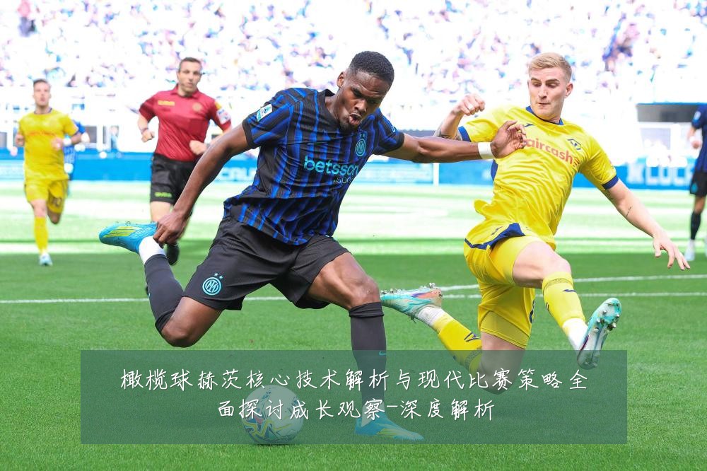 橄榄球赫茨核心技术解析与现代比赛策略全面探讨成长观察-深度解析